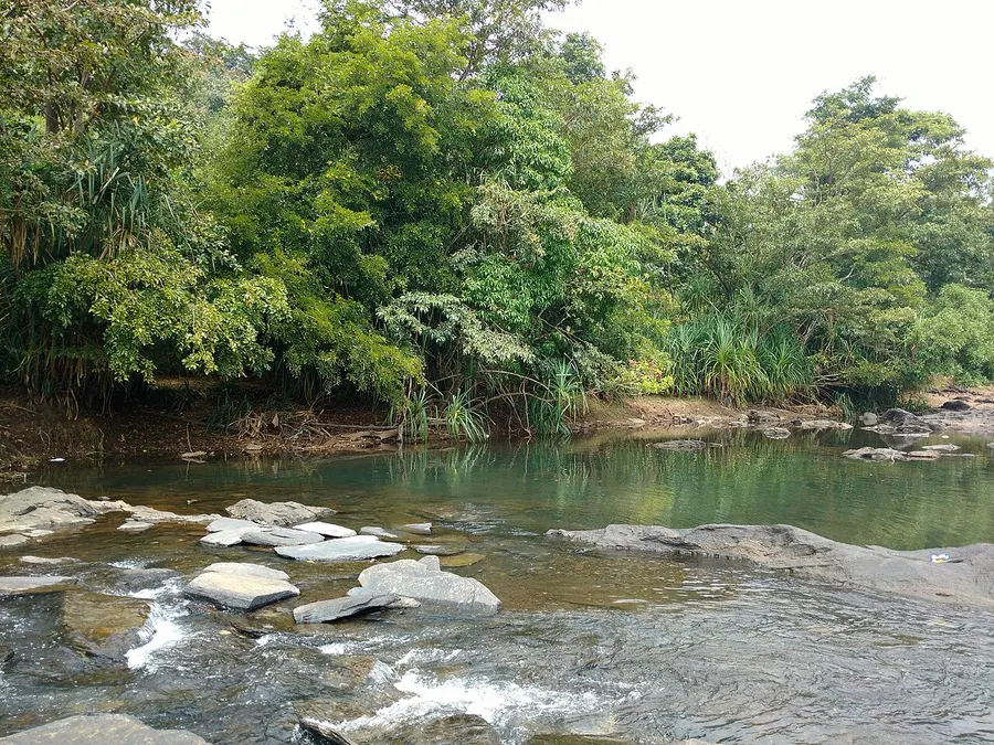 Moulangi riverside nature area in Dandeli