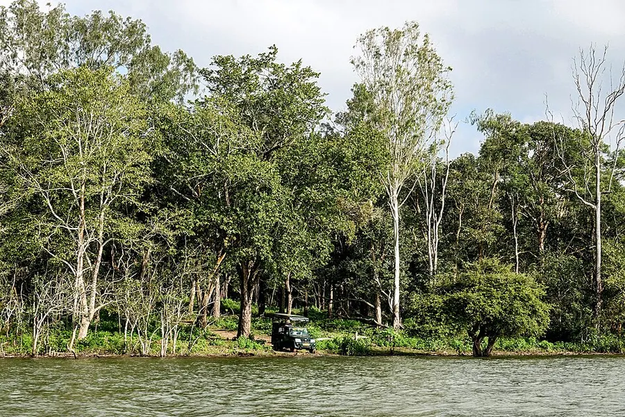 Dandeli Jungle Safari Guide – Timings, Booking, Wildlife & What to Expect