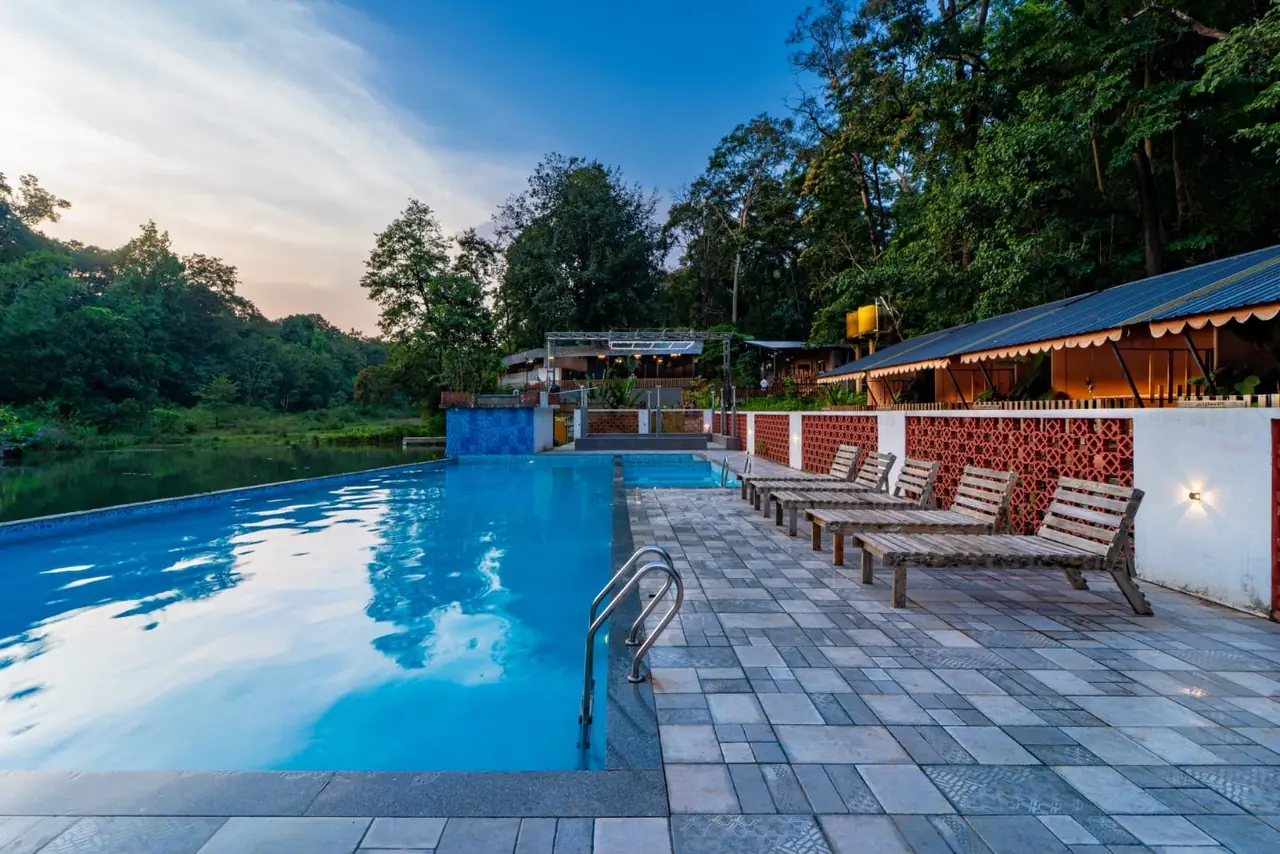 Poolside loungers with forest surroundings
