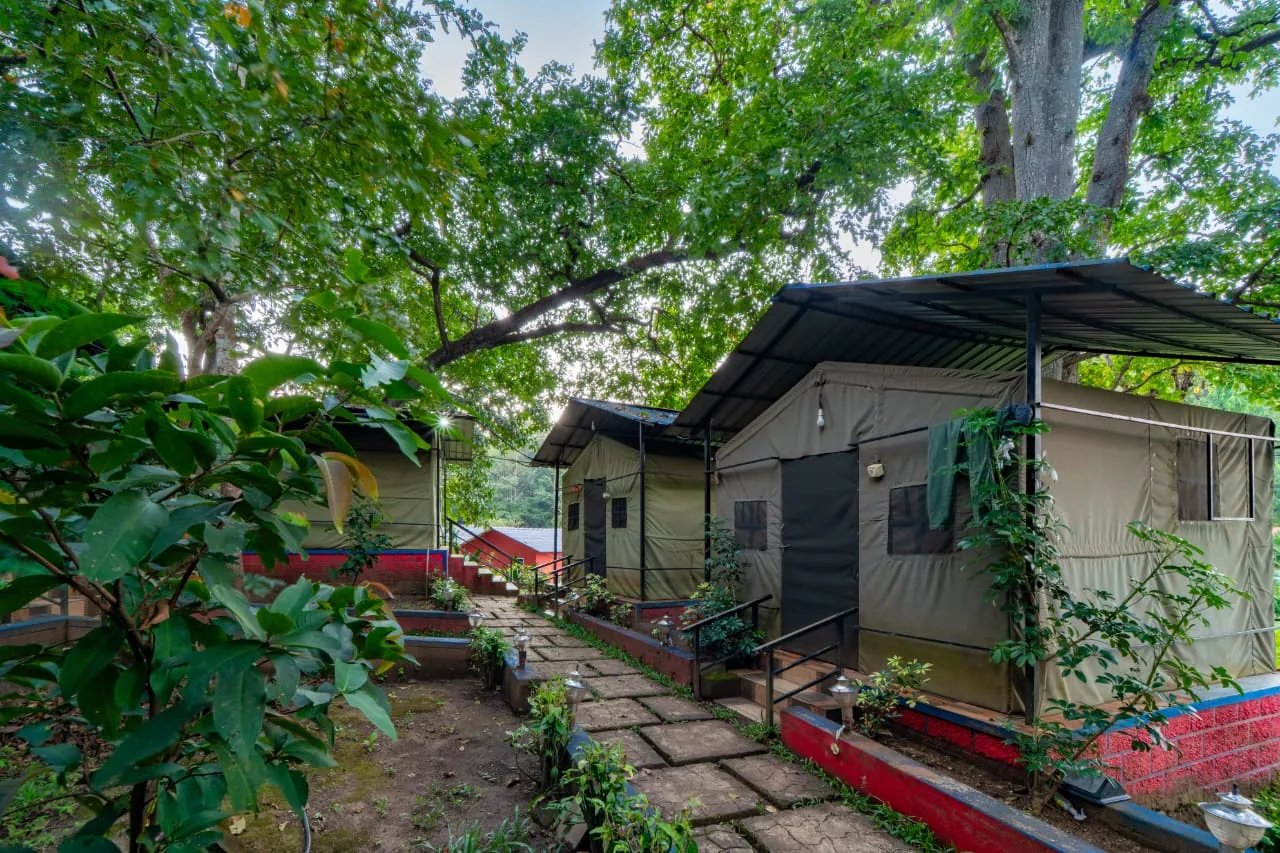 Commando cottages in the jungle