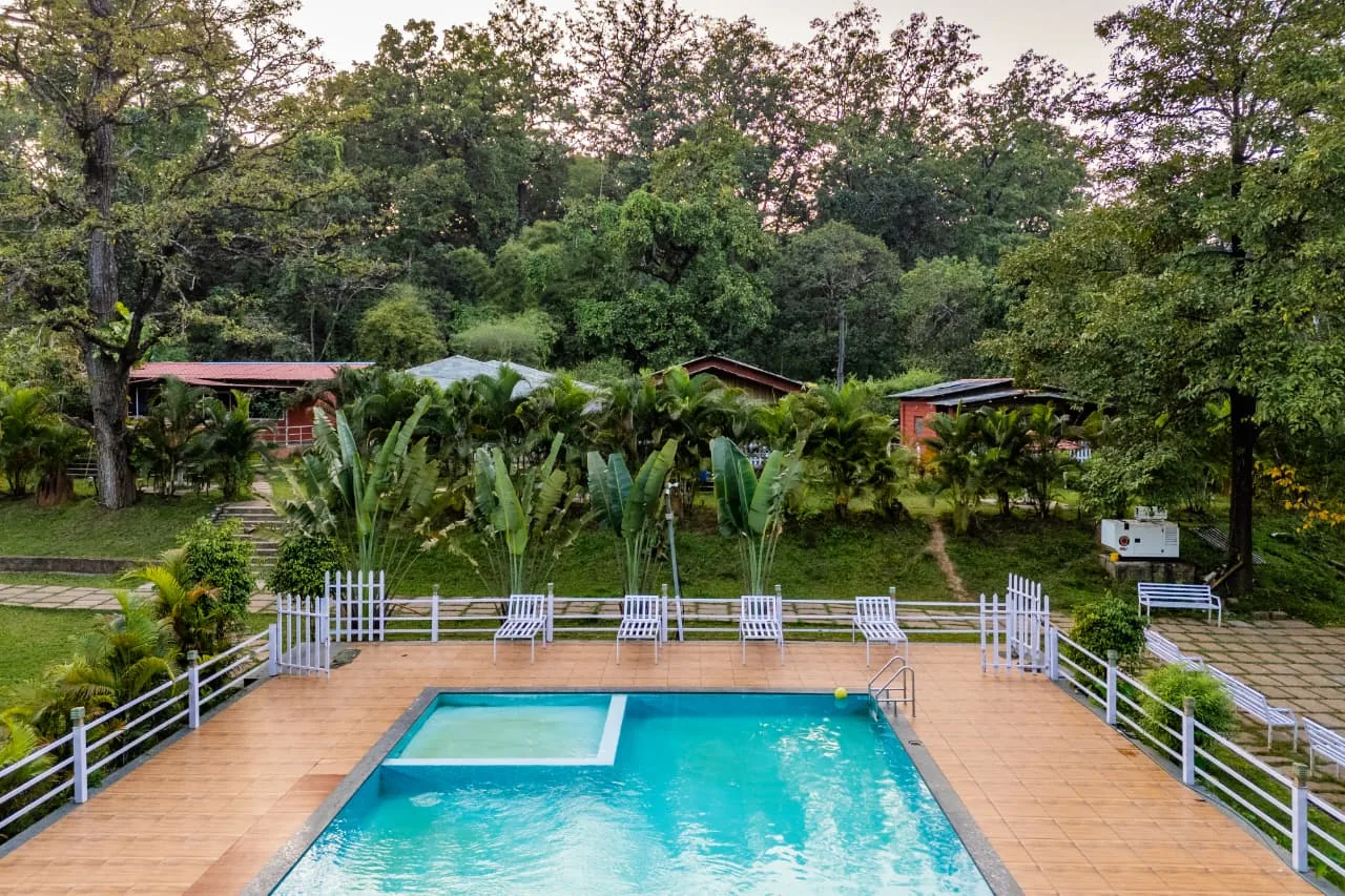 Swimming pool and cottages at Jungle Cottage & Group Stay