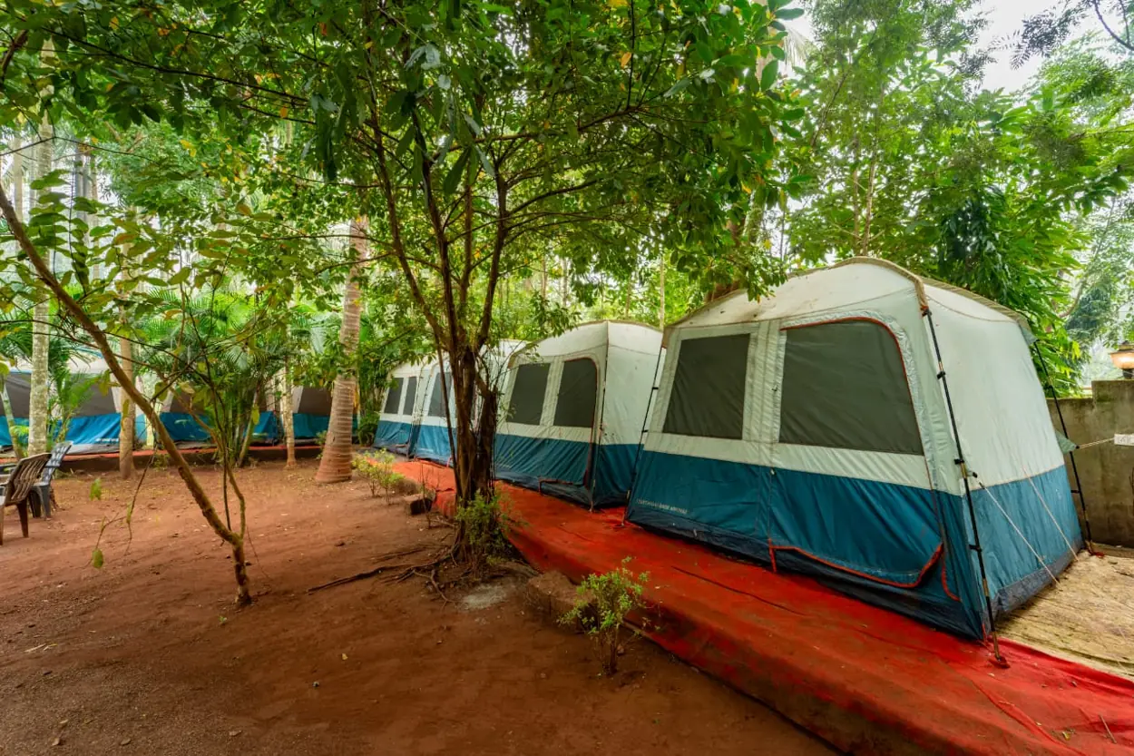 Tent stay section at Nature & Adventure Stay